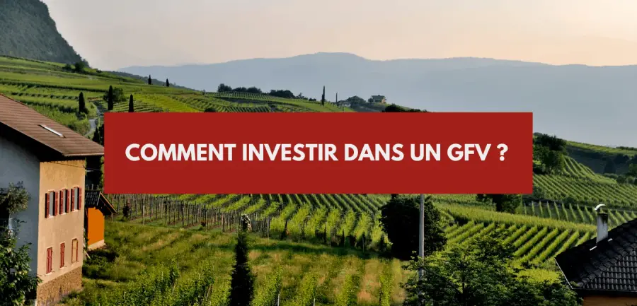GFV: French vineyard investment funds