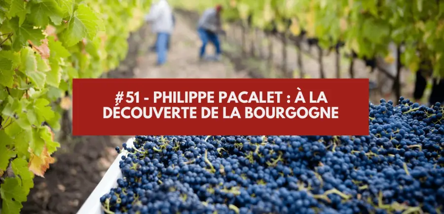 #51 - Philippe Pacalet: discovering Burgundy