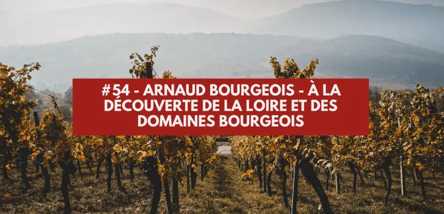 #54 - Arnaud Bourgeois - Discovering the Loire and Domaines Bourgeois