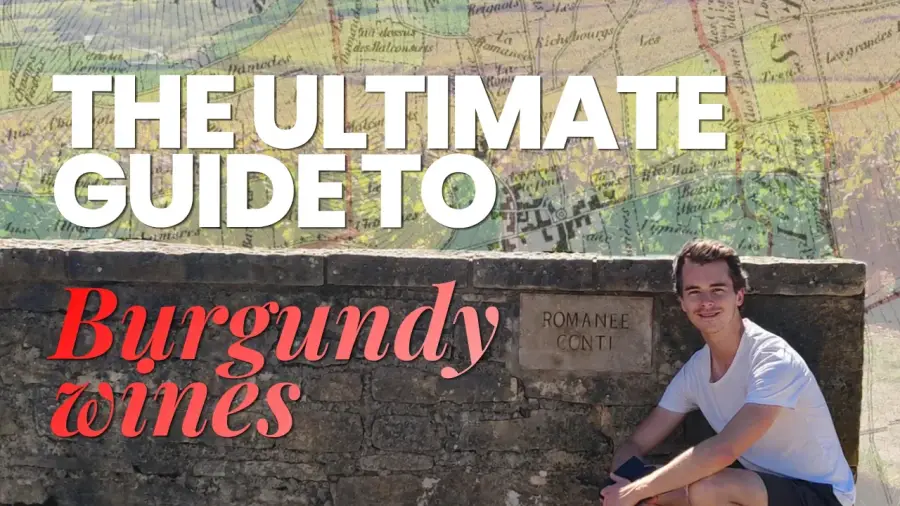 Wine Makers Show host at the Romanée-Conti vineyard wall in Vosne-Romanée, with an old map of Burgundy behind
