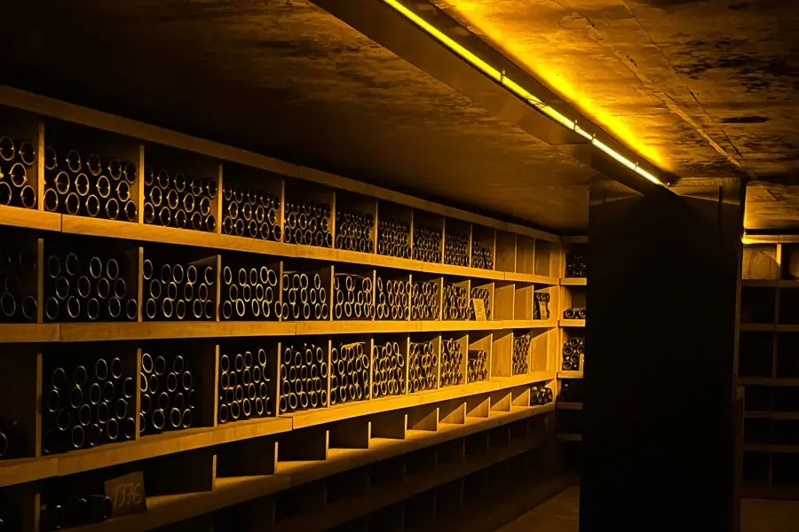 Racks of Champagne bottles ageing on their lees in the dimly lit cellar at Rare Champagne in Reims, a chalk board marking the 1976 vintage on the lowest shelf
