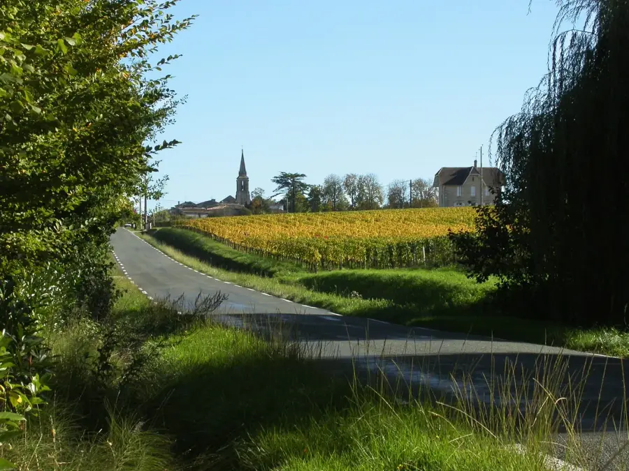 A narrow road curving past a golden autumn vineyard towards the church spire of Saint-Christophe-des-Bardes near Saint-Émilion