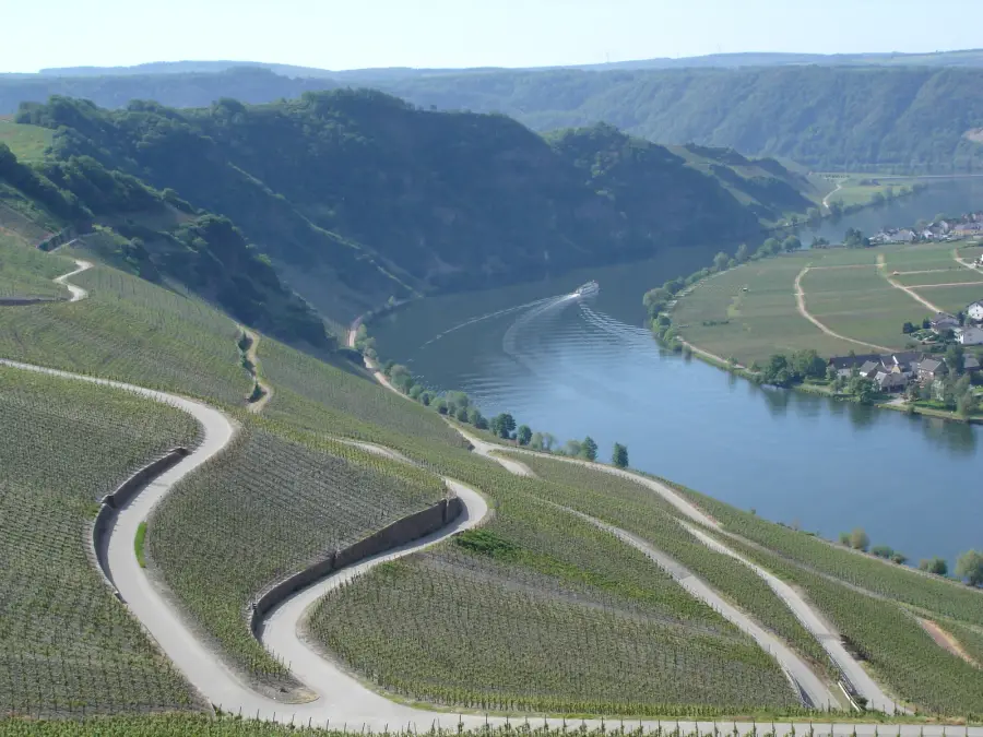 Steep vineyards and a winding farm track above the great loop of the Mosel river at Piesport, Germany, with a boat on the water and a village on the far bank