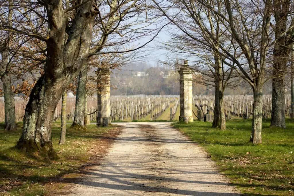 Corbin in Saint Emilion