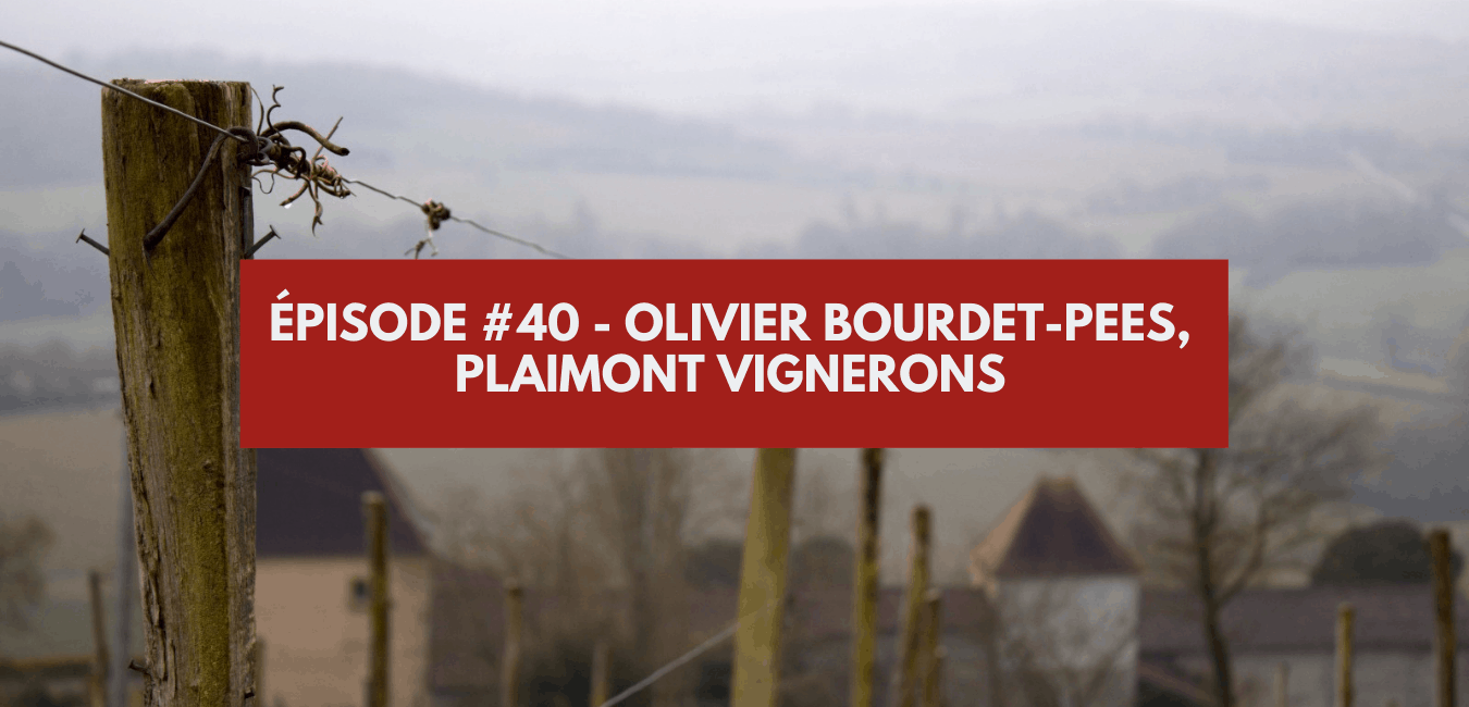 Episode #40 - Olivier Bourdet-Pees, Plaimont Vignerons