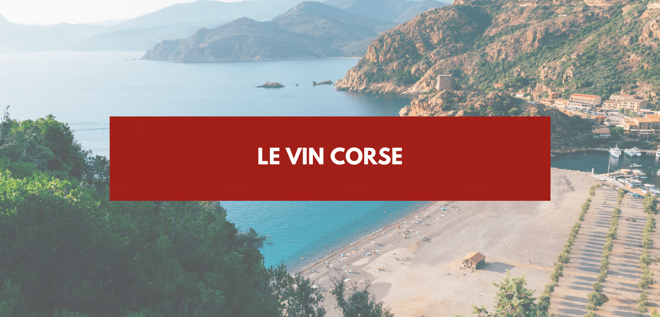 Corsican wine