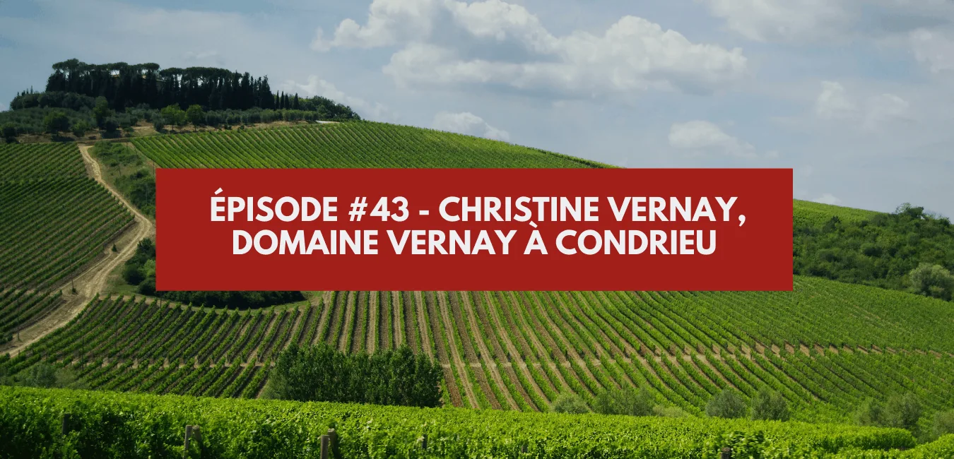 Episode #43 - Christine Vernay, Domaine Vernay in Condrieu