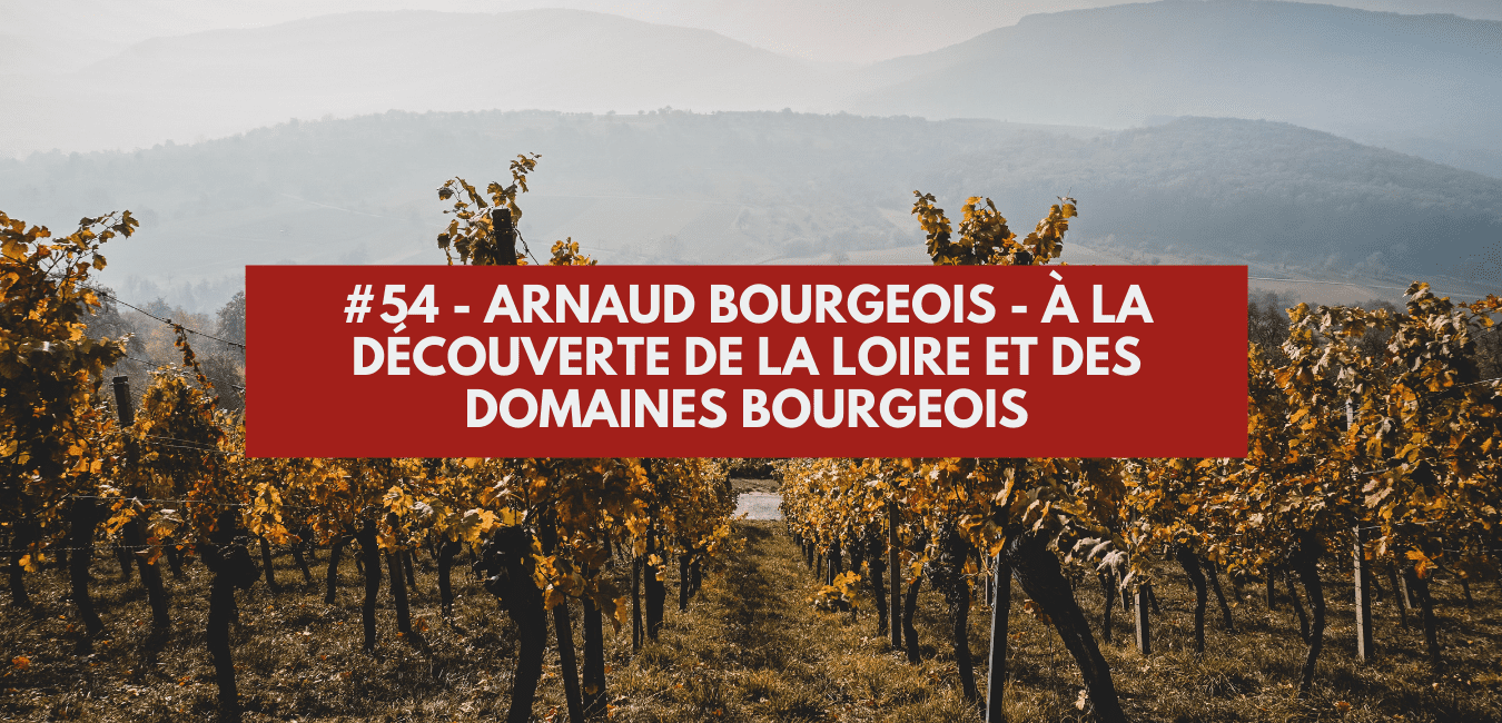 #54 - Arnaud Bourgeois - Discovering the Loire and Domaines Bourgeois