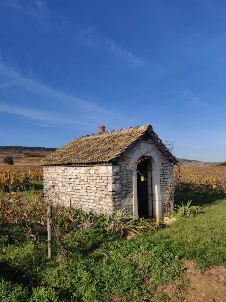 Clos des Épeneaux, Burgundy