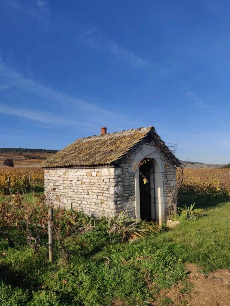 Clos des Épeneaux, Burgundy