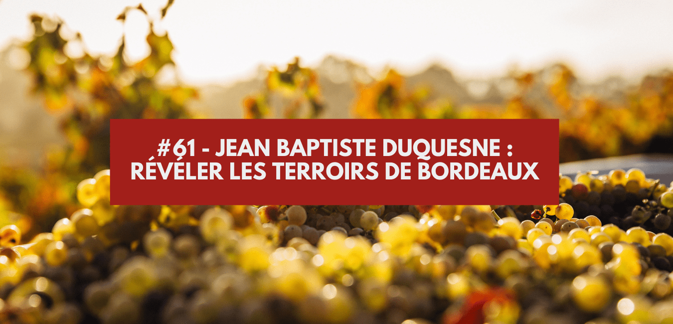 #61 - Jean Baptiste Duquesne: revealing the terroirs of Bordeaux