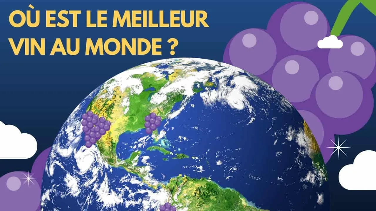 The main wine regions of the world: a tour