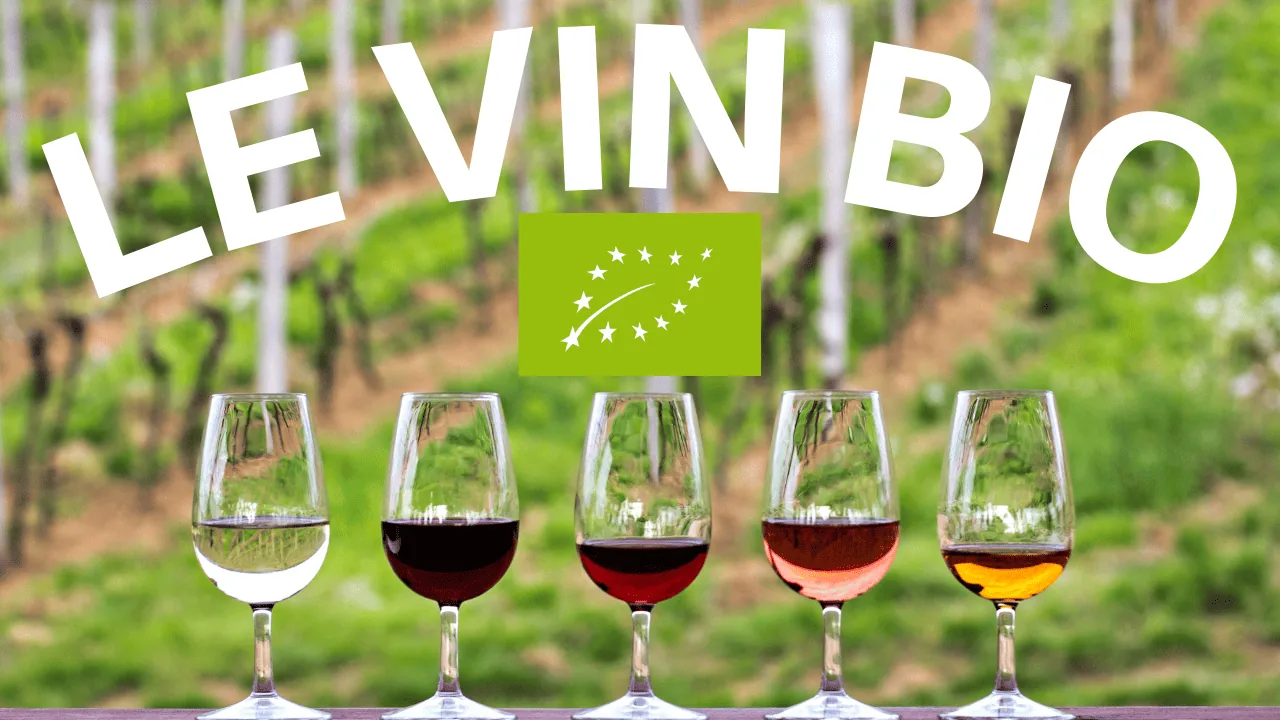 Le vin bio est-il meilleur ?