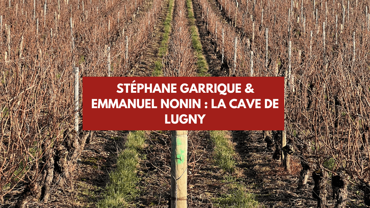 Stéphane Garrique & Emmanuel Nonin : La cave de Lugny
