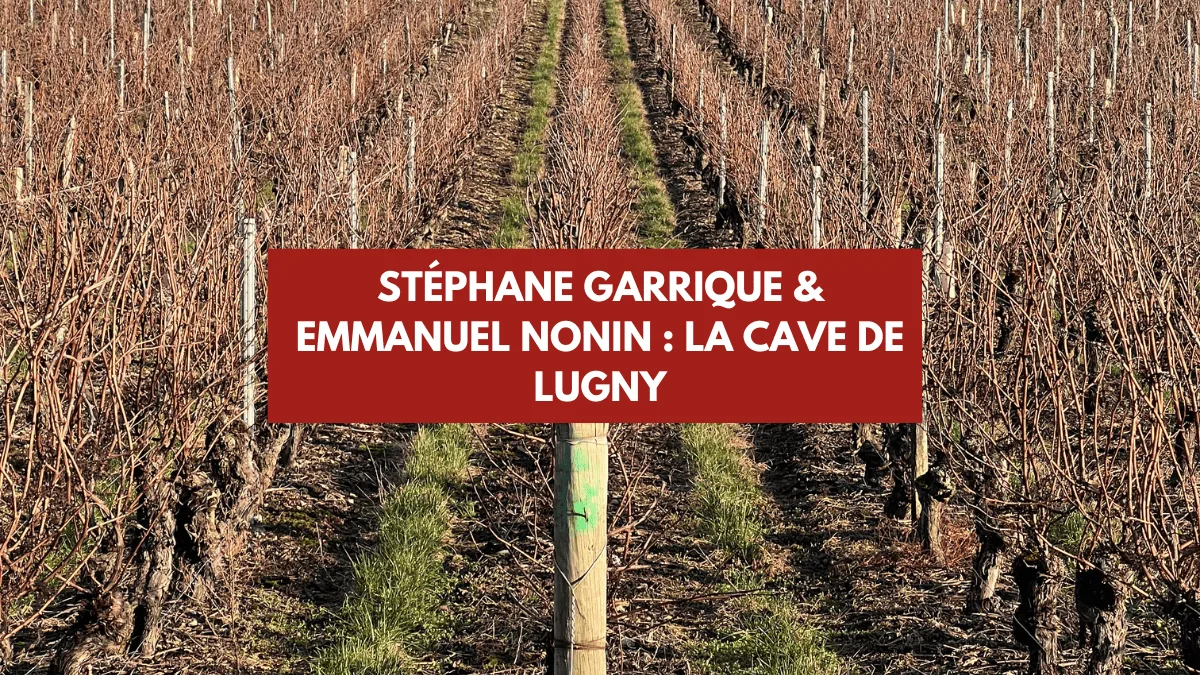 Stéphane Garrique & Emmanuel Nonin : La cave de Lugny