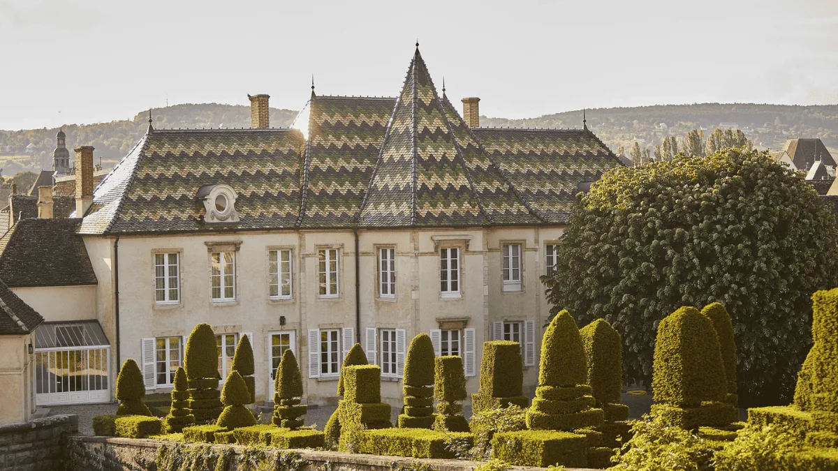 Artémis Domaines Creates Domaine des Cabottes: A Strategic Split for Burgundy's Historic Bouchard Père & Fils