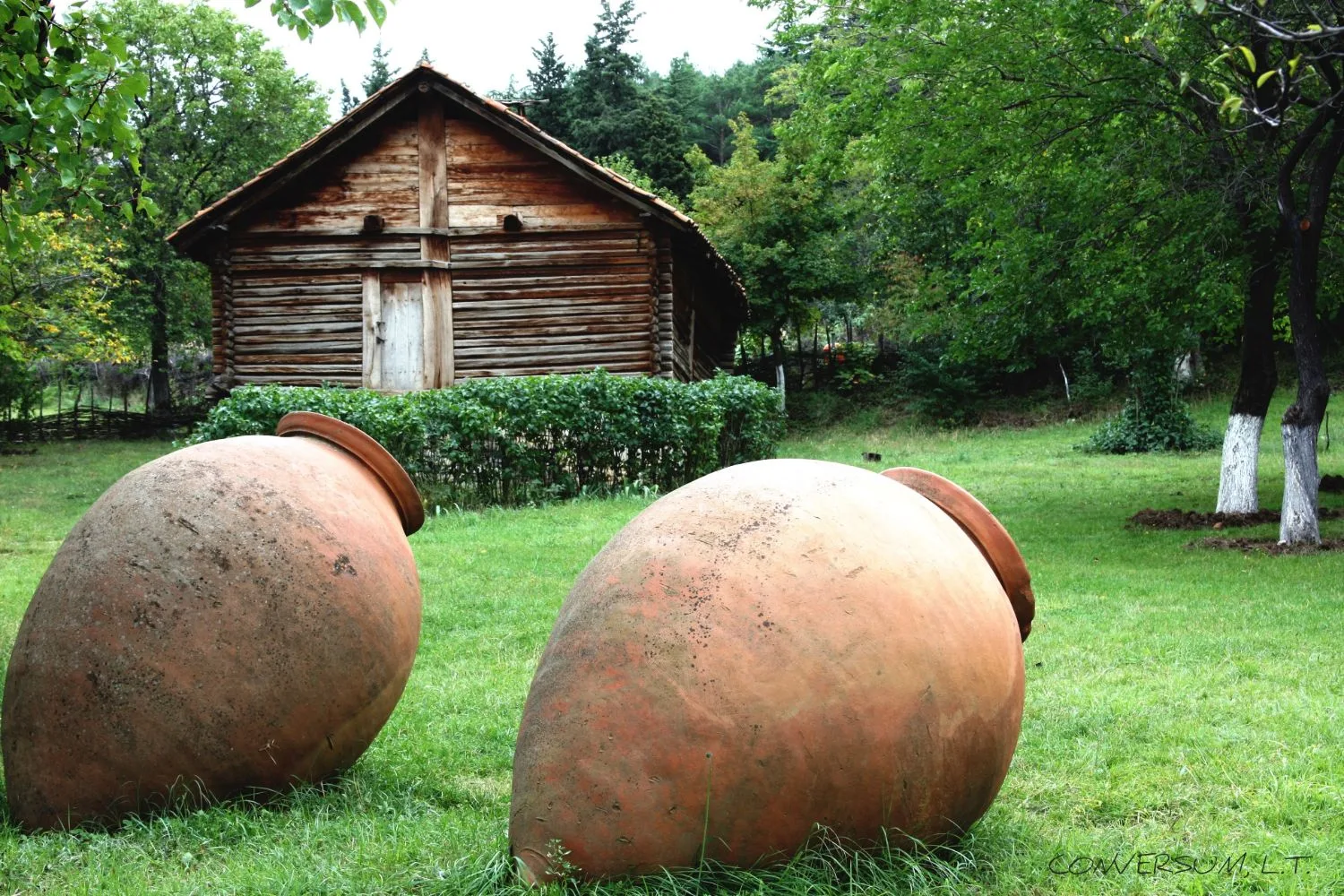 Amphores qvevri en Kakhétie, Géorgie Deux grands qvevri en argile posés sur l'herbe à côté d'une maison en bois en Géorgie