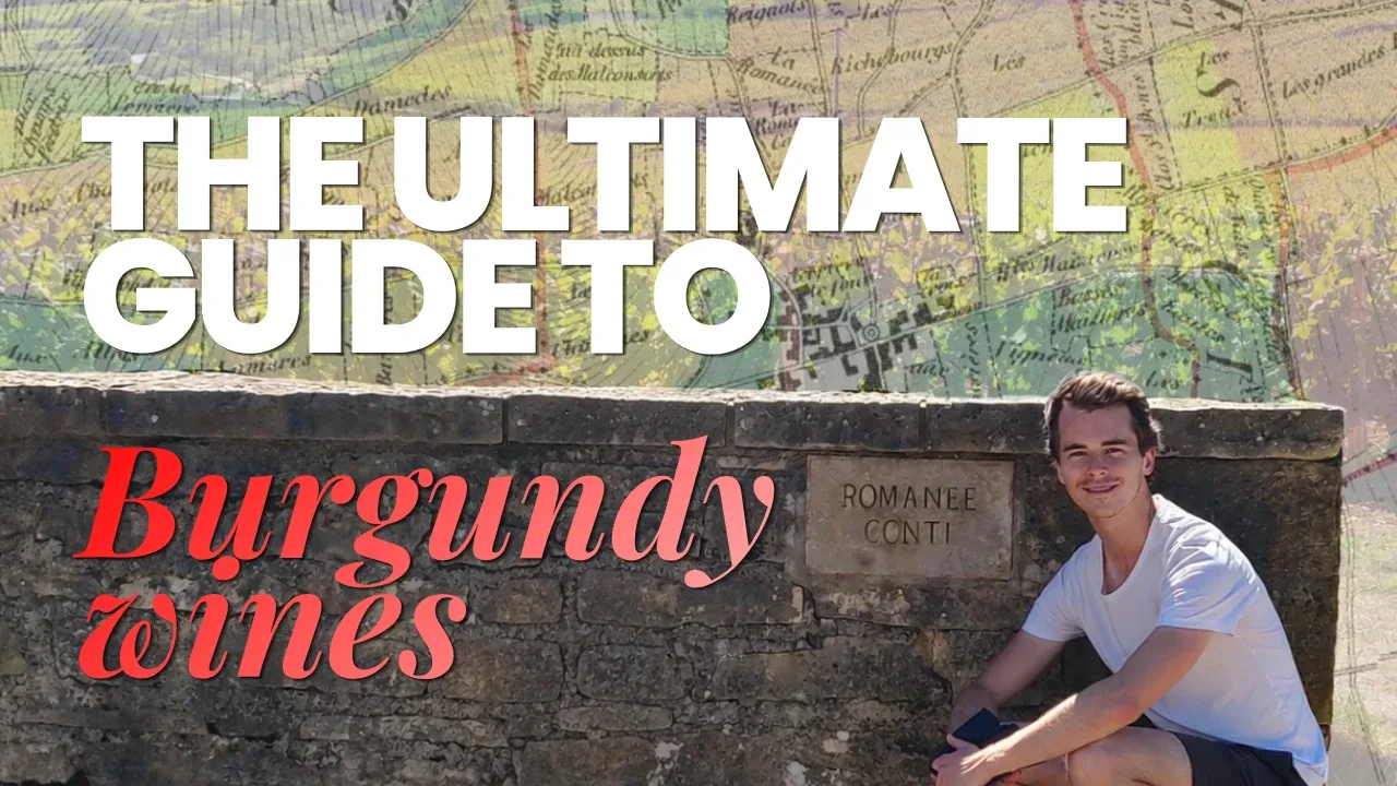 Wine Makers Show host at the Romanée-Conti vineyard wall in Vosne-Romanée, with an old map of Burgundy behind