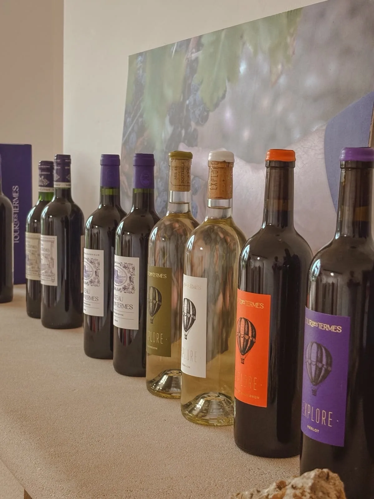 A line of Château Tour des Termes bottles from Saint-Estèphe, reds and whites including the Explore range, arranged along a table in front of a large photograph of Cabernet grapes on the vine