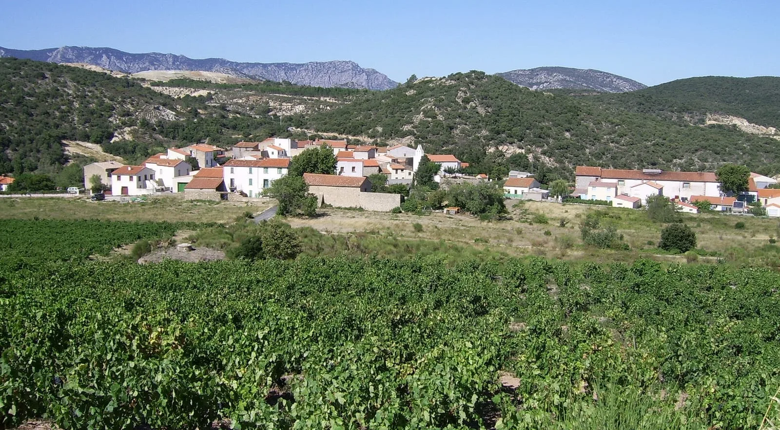 The small village of Lansac in the Pyrénées-Orientales, white houses with red roofs below scrubby hills, with vines in the foreground