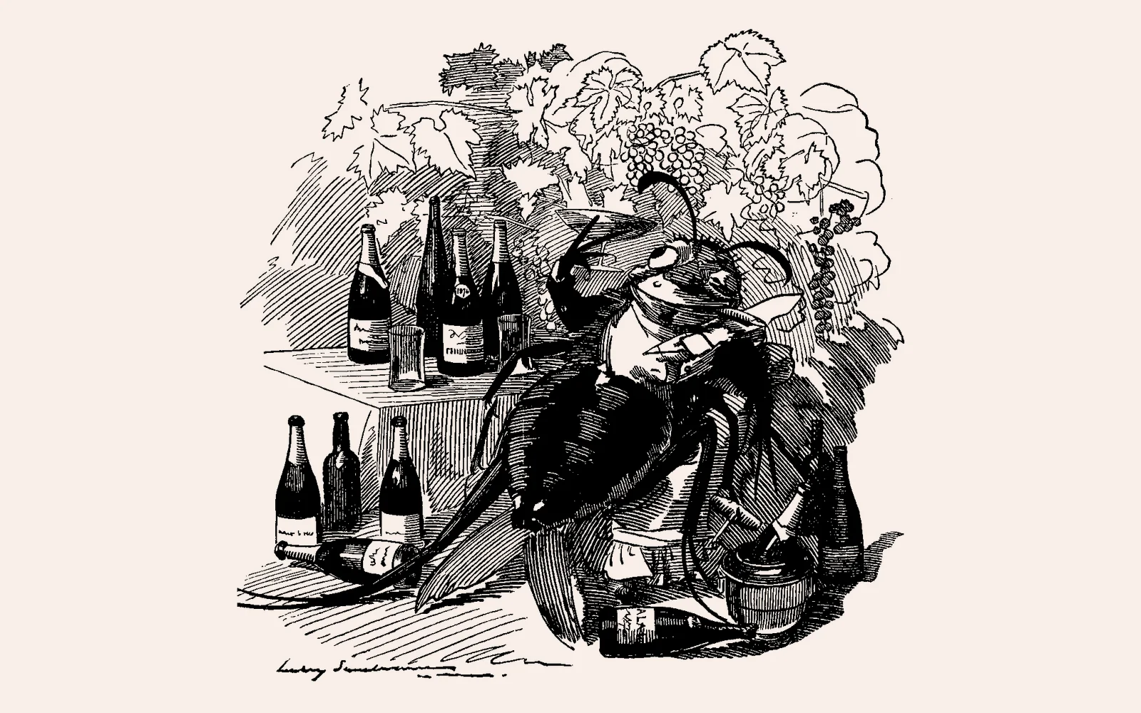 Edward Linley Sambourne's 1890 Punch cartoon of the phylloxera insect as a well-fed gourmet, surrounded by wine bottles and vine leaves