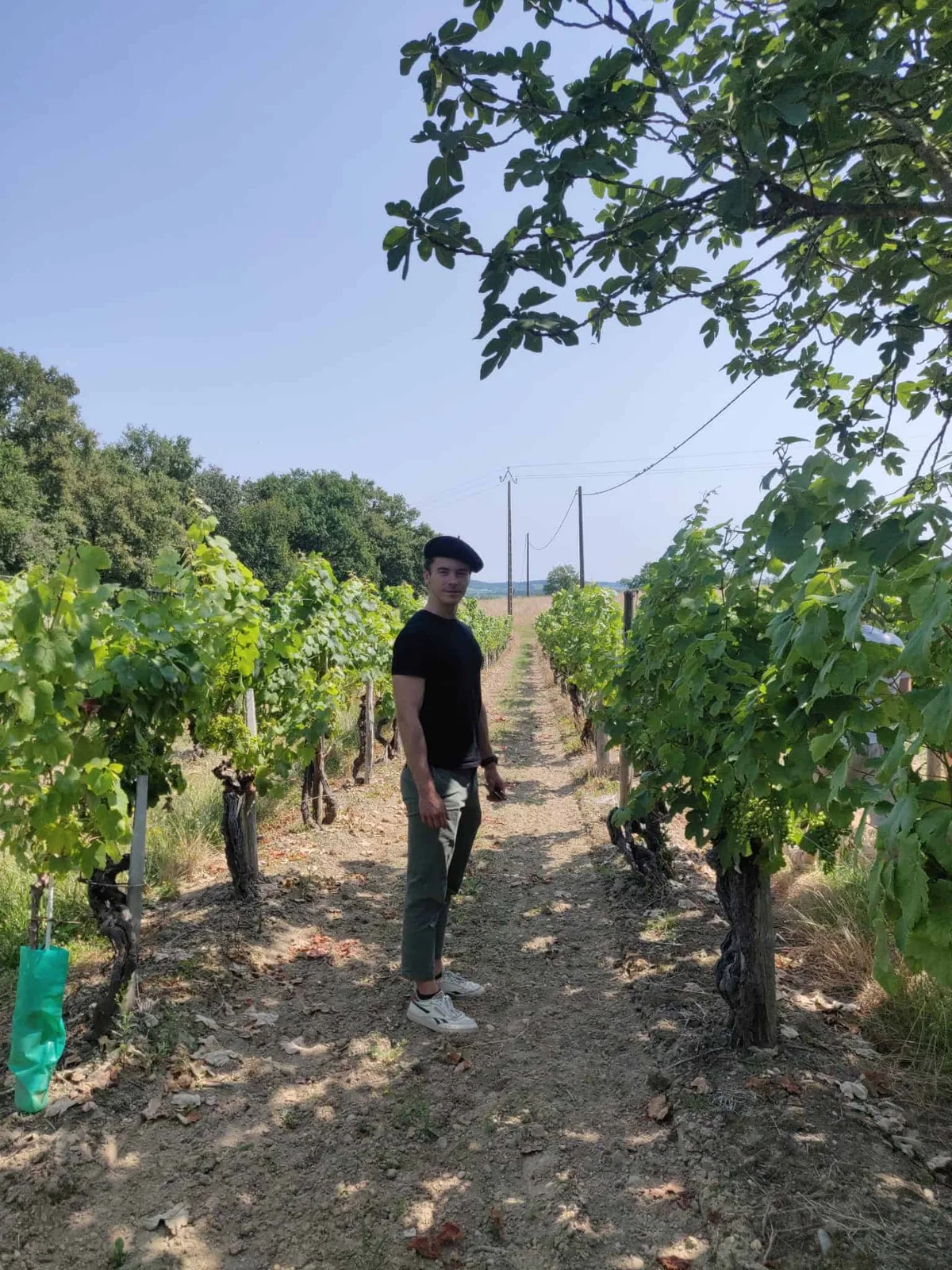Antoine, host of Wine Makers Show, in the vineyards