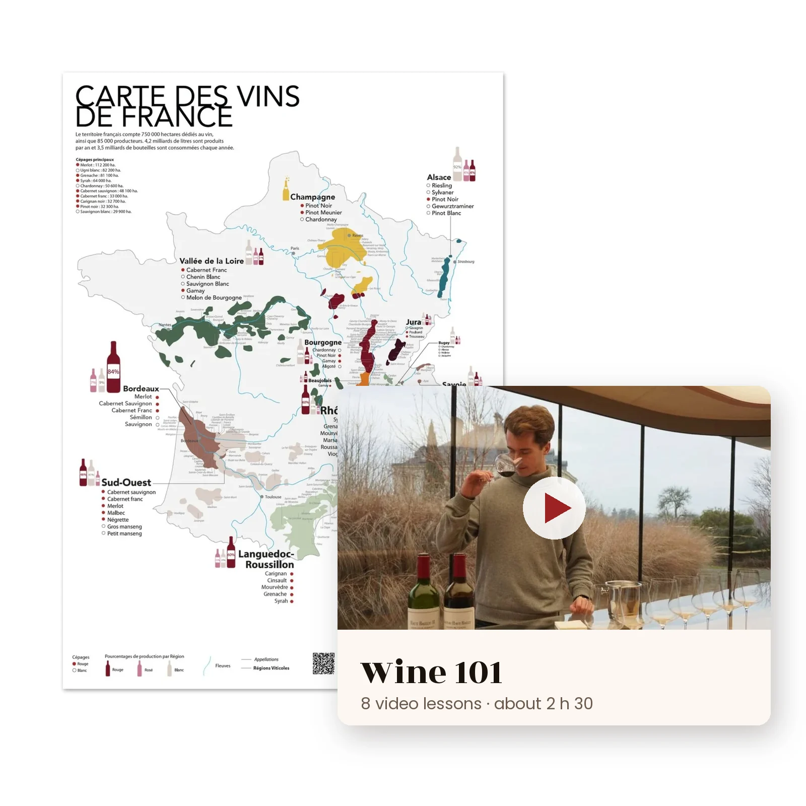 The French wine map poster with a Wine 101 video lesson card in front of it