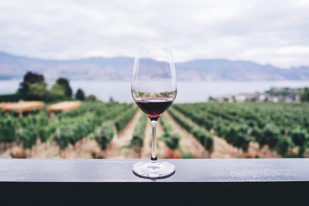 Vin et vignes