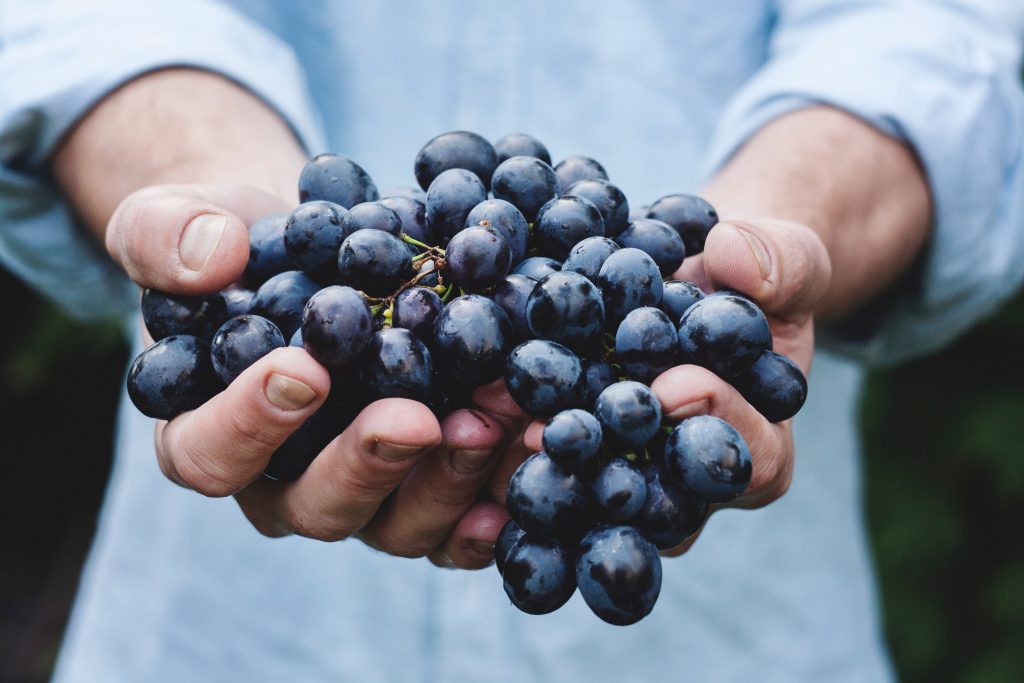 Raisins pour le vin