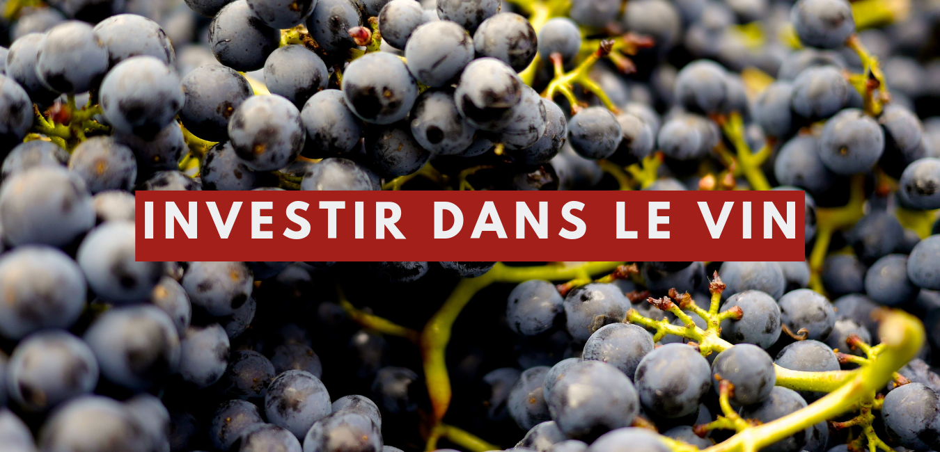 You are currently viewing Investir dans le vin
