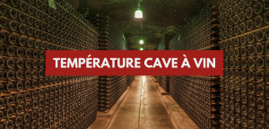 Lire la suite à propos de l’article Température d&rsquo;une cave à vin