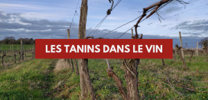 Lire la suite à propos de l’article Les tanins dans le vin
