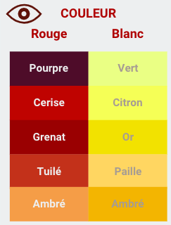 robe du vin - dégustation vin