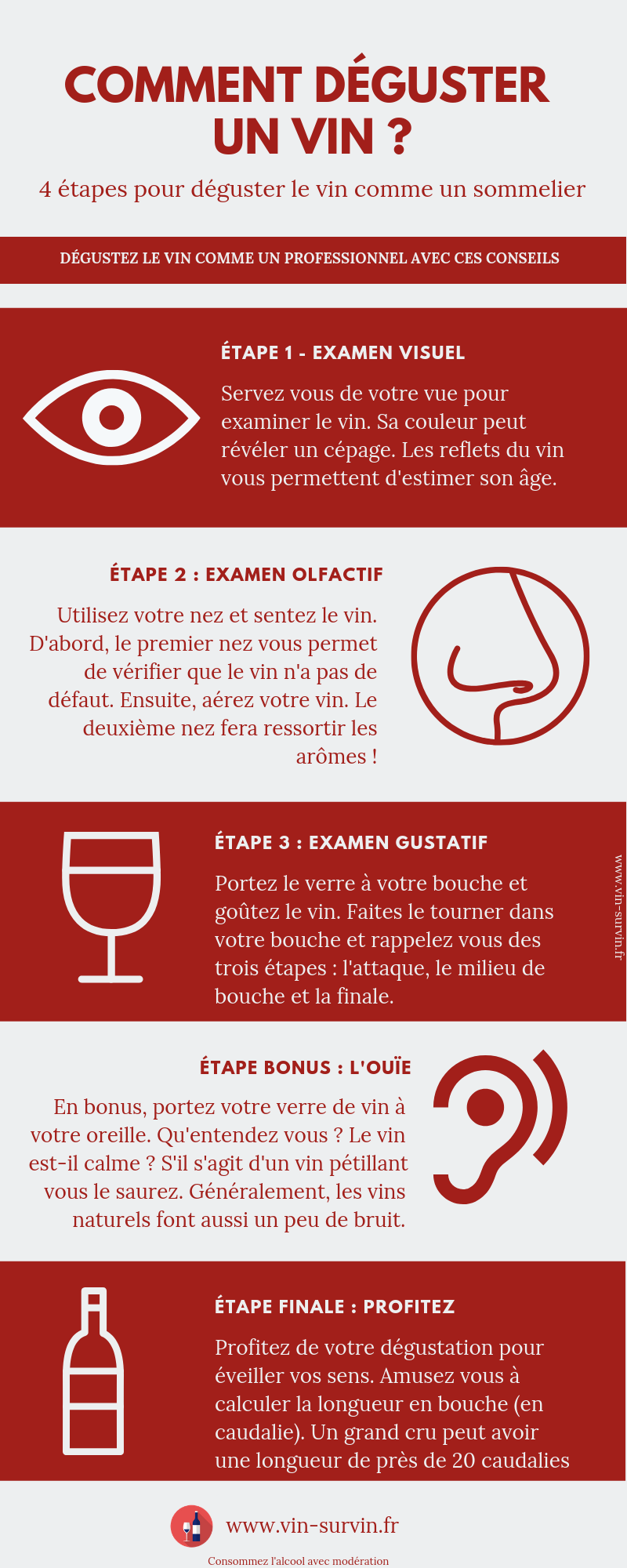 infographie - comment déguster un verre de vin