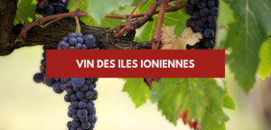 Lire la suite à propos de l’article Vin iles ioniennes