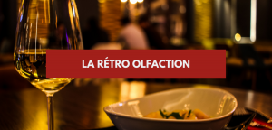 Lire la suite à propos de l’article La rétro olfaction