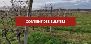 Lire la suite à propos de l’article Contient des sulfites