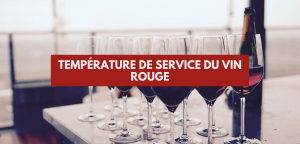 Lire la suite à propos de l’article Température de service du vin rouge