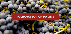 Lire la suite à propos de l’article Pourquoi boit-on du vin – Fabrizio Bucella