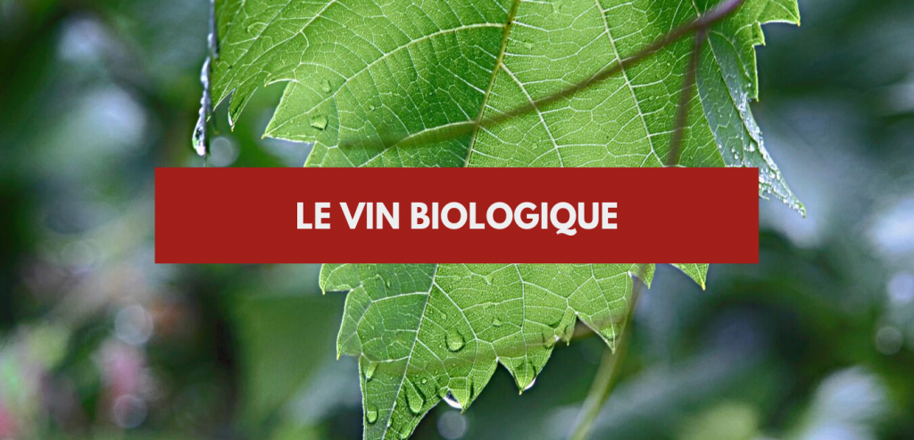 Vin biologique