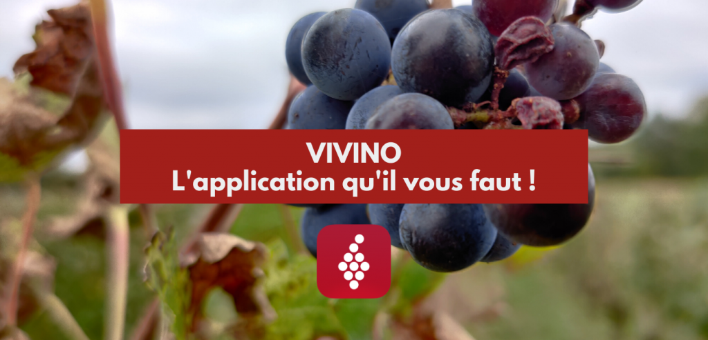 Vivino - appli sur le vin