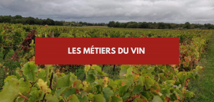 Lire la suite à propos de l’article Métier du vin