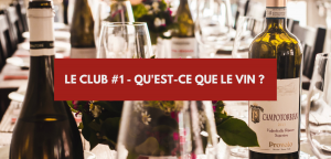 Lire la suite à propos de l’article Qu&rsquo;est-ce que le vin ?