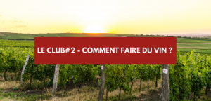Lire la suite à propos de l’article Comment faire du vin ?