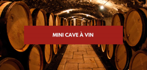 Lire la suite à propos de l’article Mini cave à vin