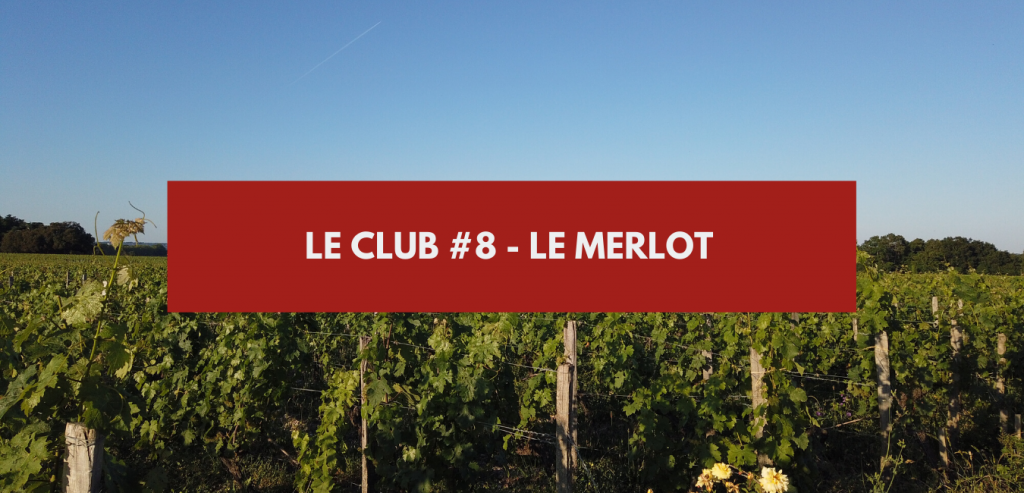 merlot