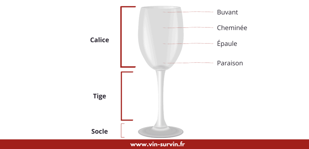 les différentes parties du verre à vin