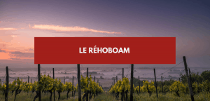 Lire la suite à propos de l’article Rehoboam