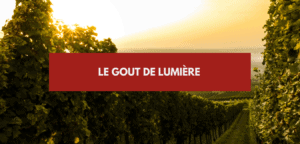 Lire la suite à propos de l’article Gout de lumière