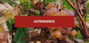 Lire la suite à propos de l’article Astringence